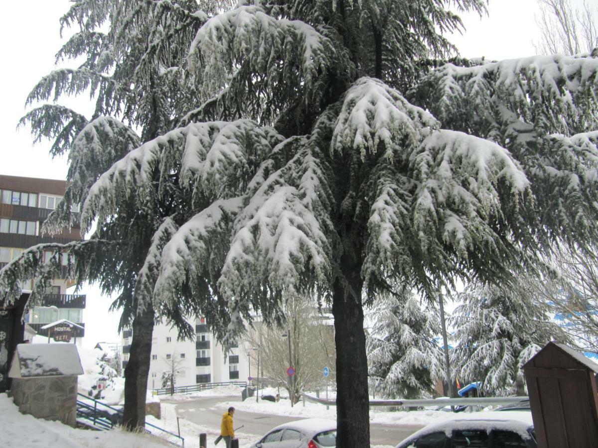 סיירה נבדה Apartamentos Sueno Nevado Con Piscina A Pie De Telesilla מראה חיצוני תמונה